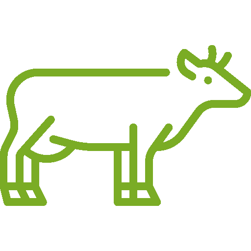 MODERN PLAN INSULATION LIMITED cow icon