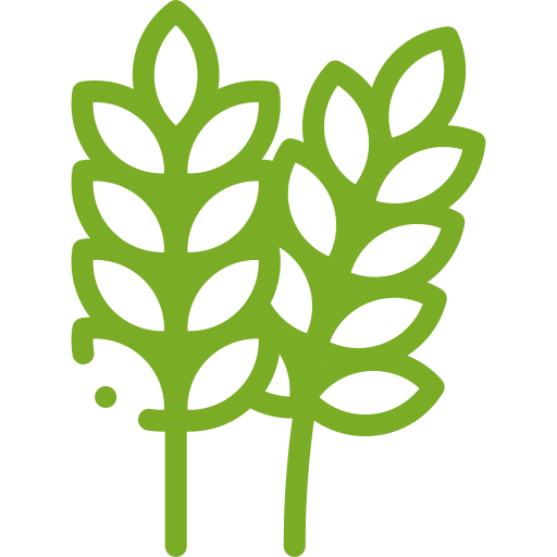 MODERN PLAN INSULATION LIMITED wheat icon